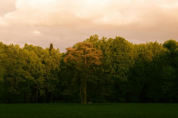 Transformando Tu Vida Desde Dentro